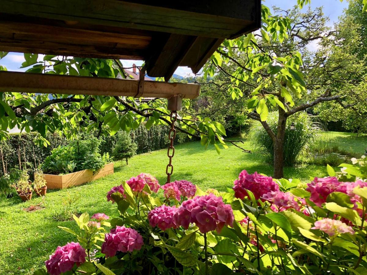 Home Apartments & Yoga Studio Bled-Recica Esterno foto